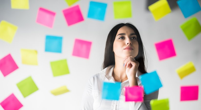 Project Portfolio Management