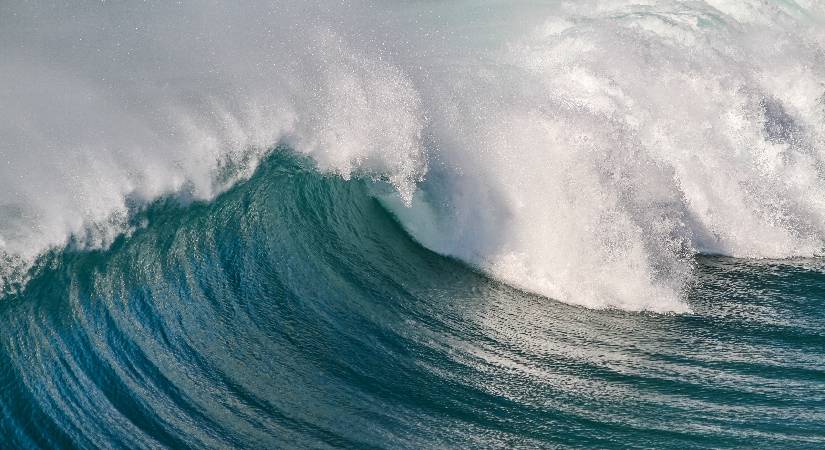 Curso de Fundamentos y oportunidades de la economía azul