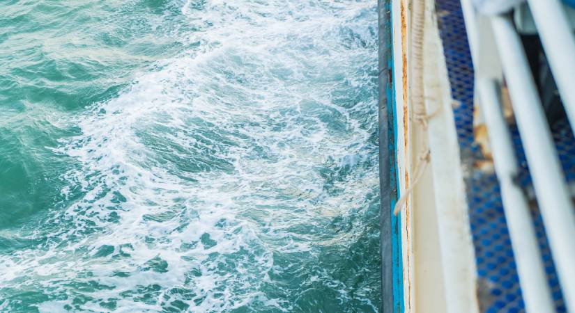 Curso de Control y gestión del agua de lastre y los sedimentos de los buques